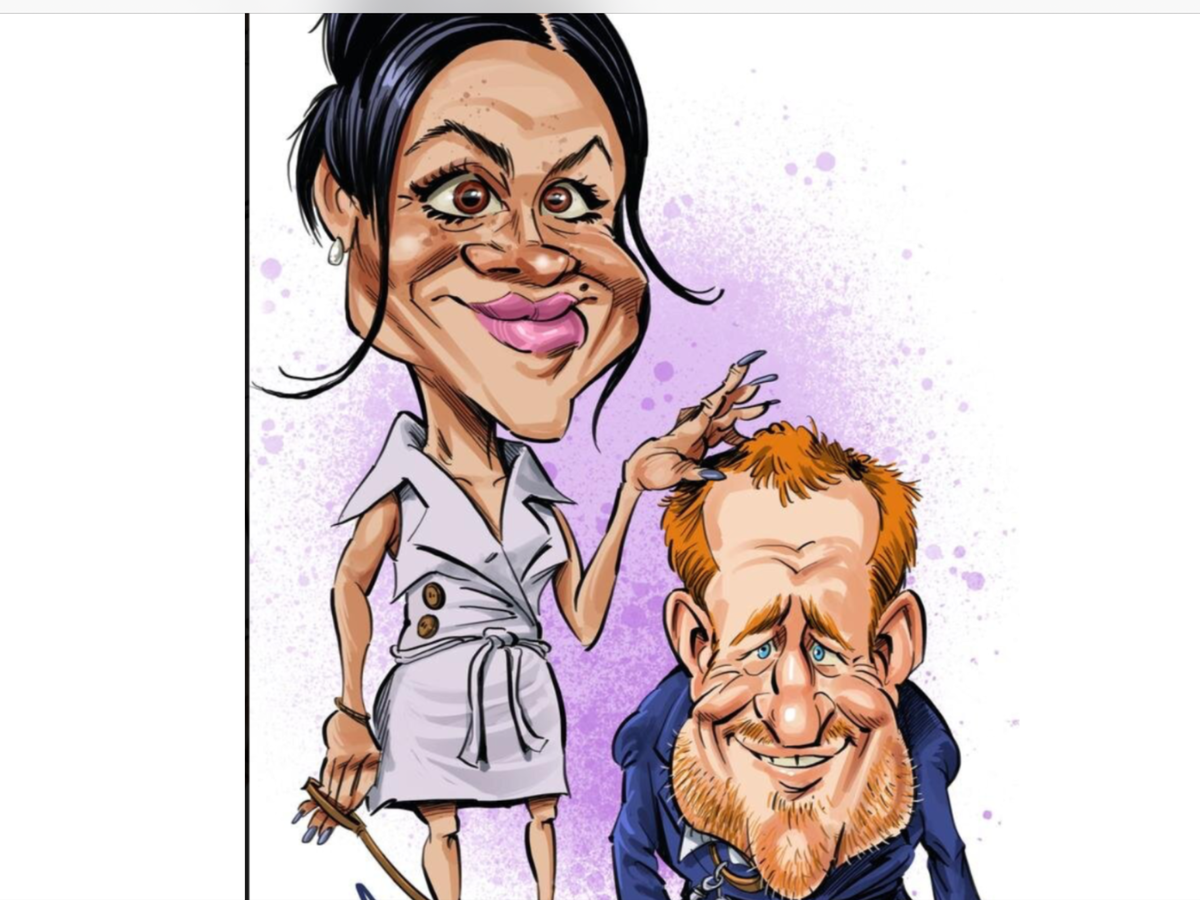 Фото с сайта: avatars.dzeninfra.ru     Отношения Гарри и Меган по версии британских СМИ 