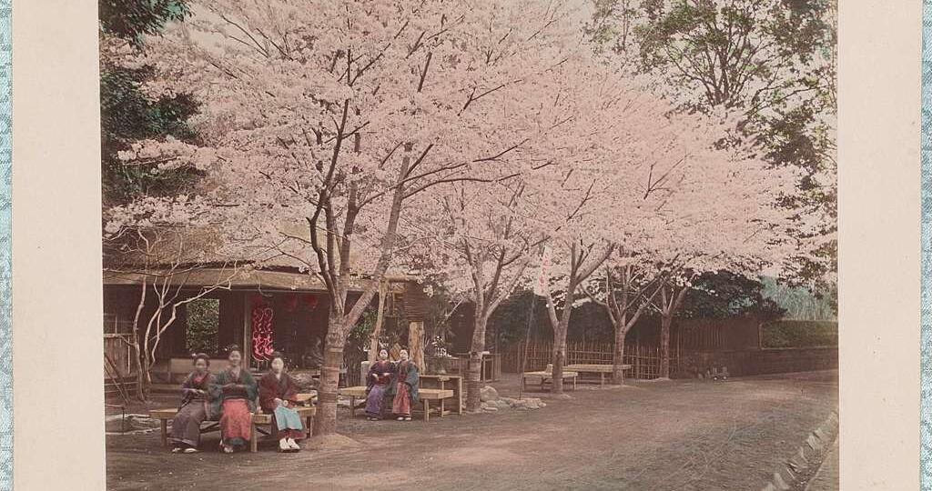 «Токийский парк» — новшество XIX века