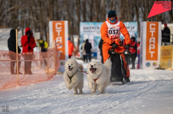    Фото:Федерация ездового спорта России