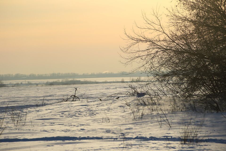    Вид на будущий микрорайон новостроек с пр. Космонавтов, куда планируют продлить ул. Звездную. Источник: Виталий Барабаш/"Толк"