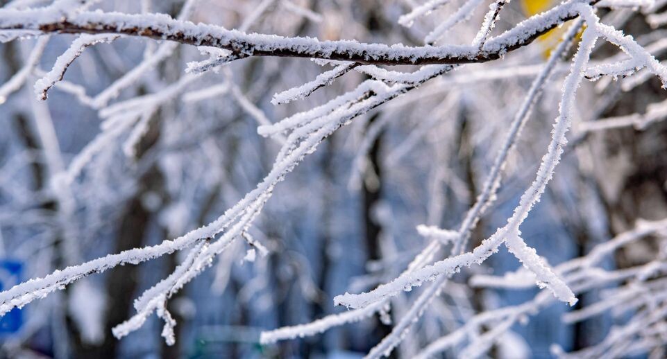    Oleg Spiridonov/Business Online / www.globallookpress.com