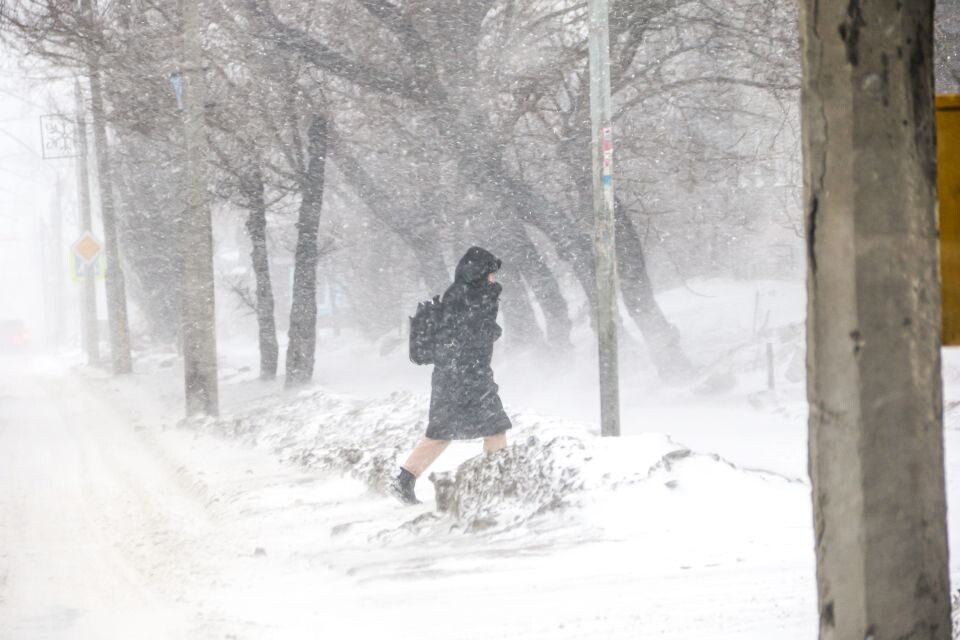    Метель и штормовой ветер в Барнауле. Источник: Виталий Барабаш