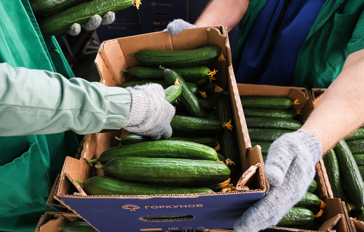 Максим Чурусов/ТАСС