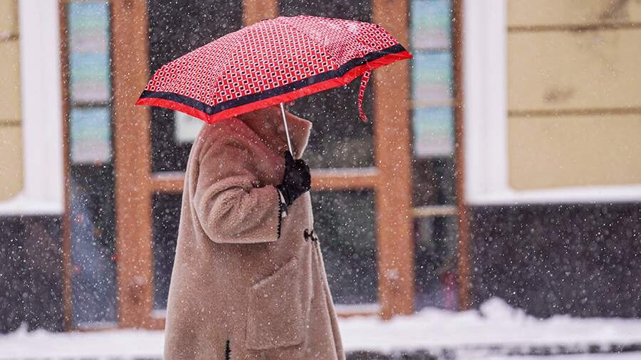    Фото: ИЗВЕСТИЯ/Анна Селина