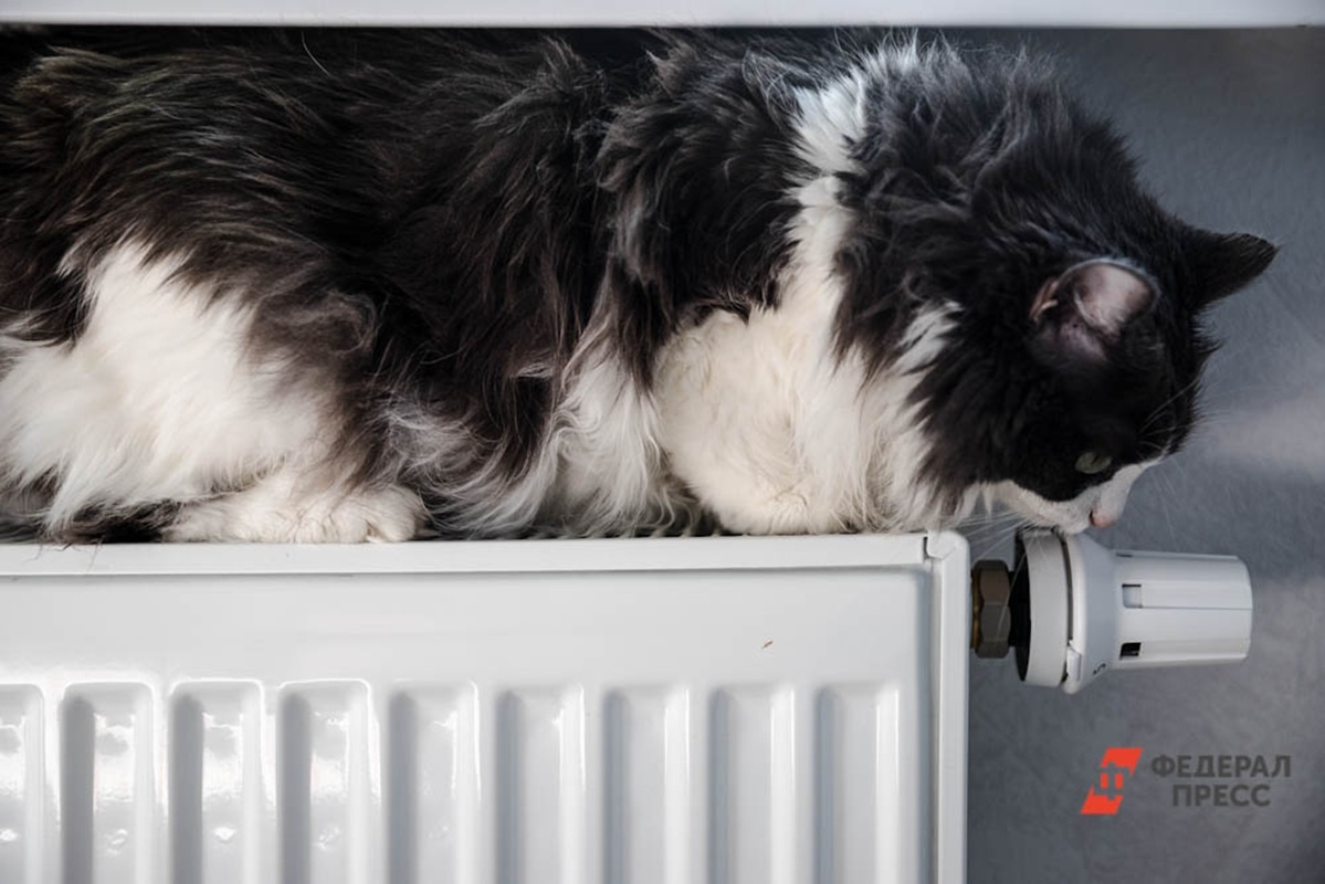 Хабаровчанам сказали, как снизить температуру в батареях.  Фото: Фото: ФедералПресс / Евгений Поторочин