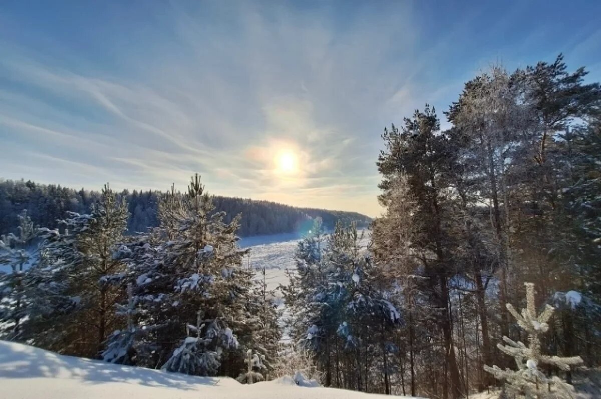    Потепление продолжится: какая погода будет в Хабаровском крае 11 февраля