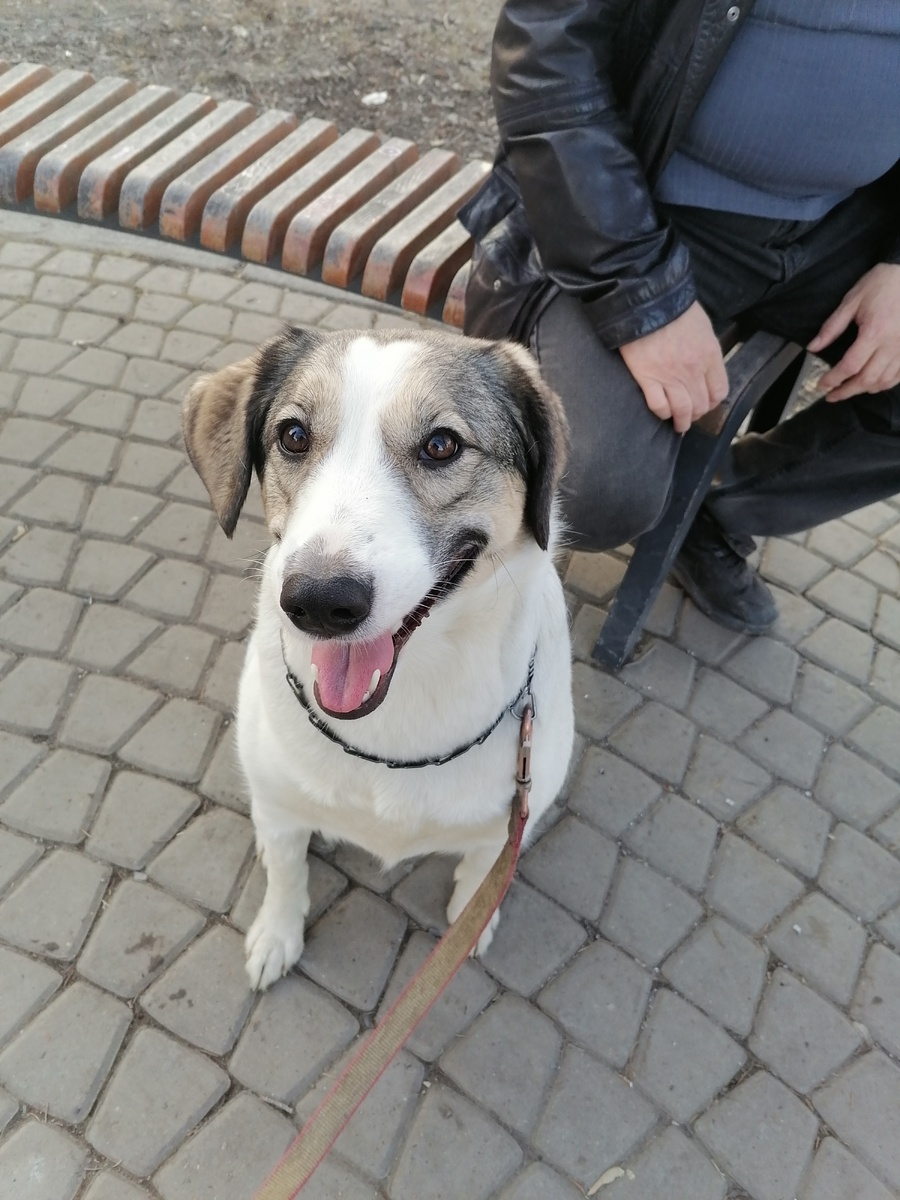 Фото автора