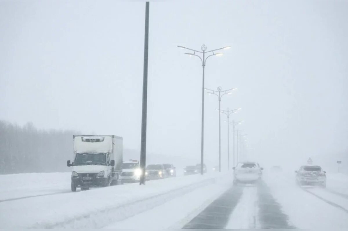    Оттепель до +3 и метель ожидаются в Новосибирске 11 февраля