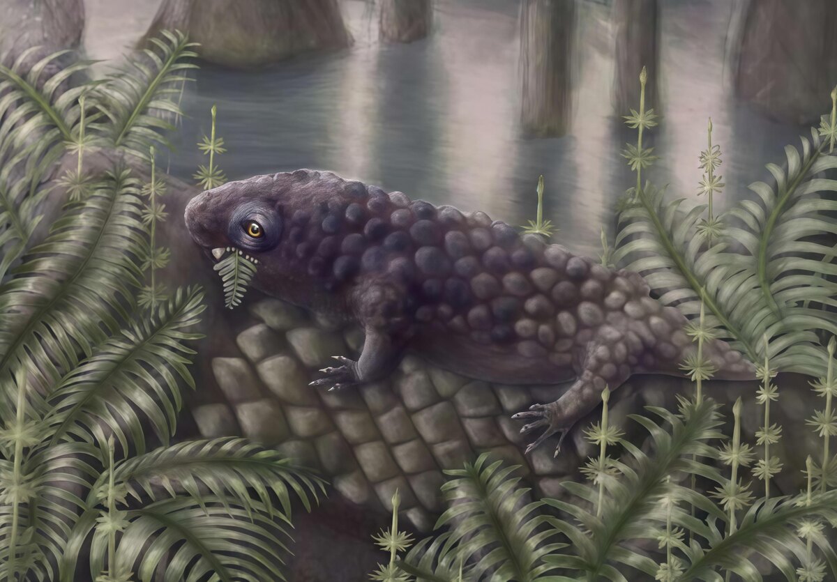 Реконструкция Tyrannoroter heberti, поедающего папоротник, фото:Hannah Fredd