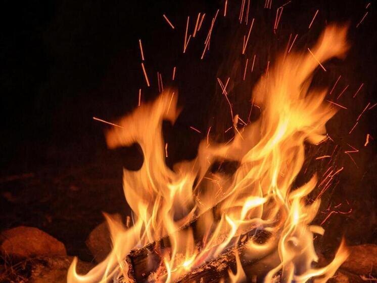     Фото: сгенерировано ИИ