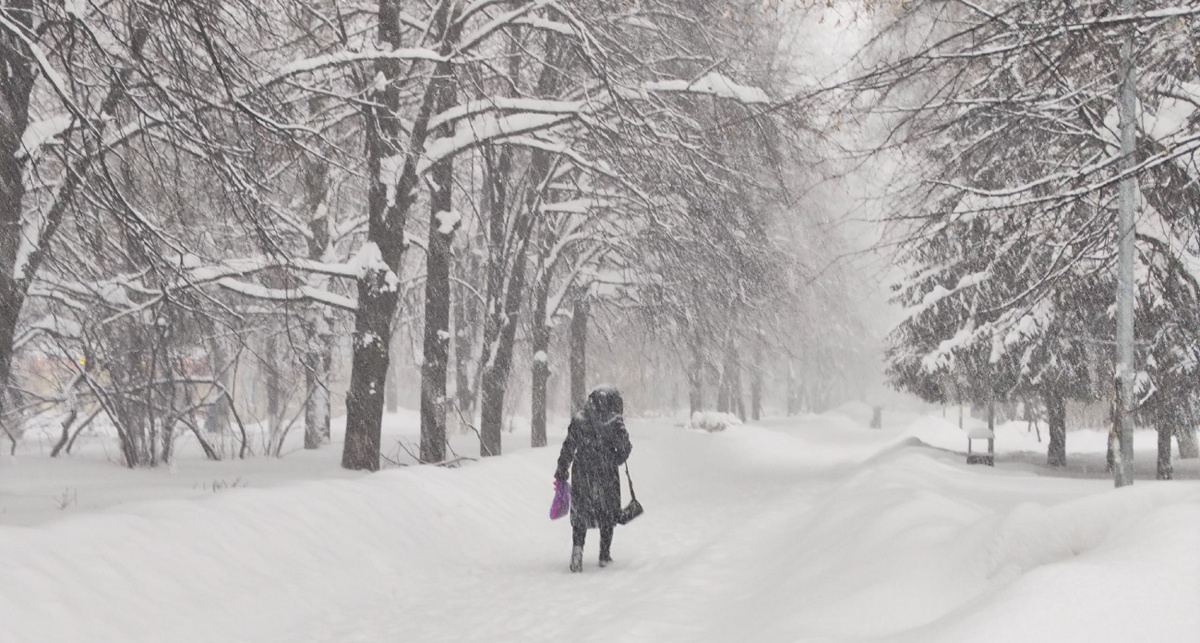    Фото: ПроГород