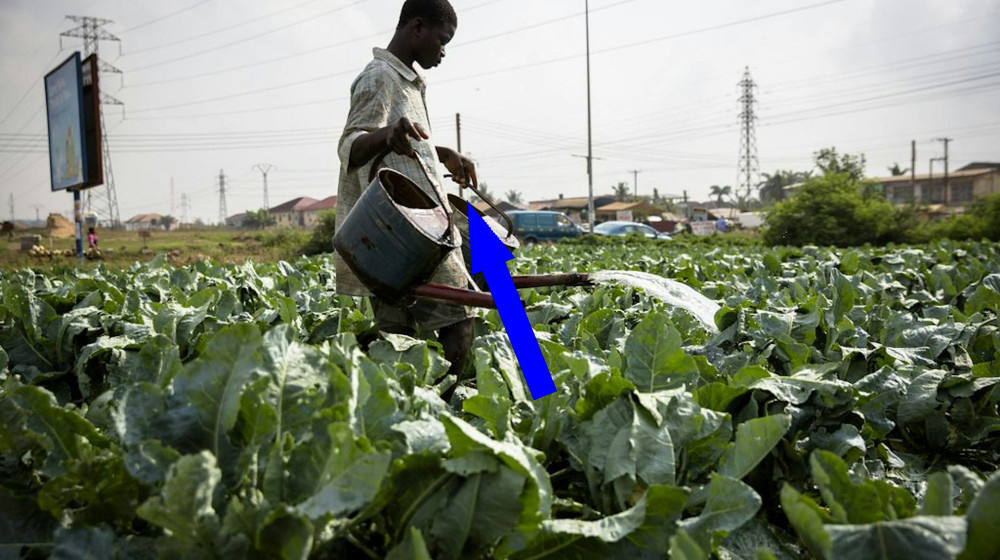    Почему богатство в бумагах превращается в нищету на улицах Африки?