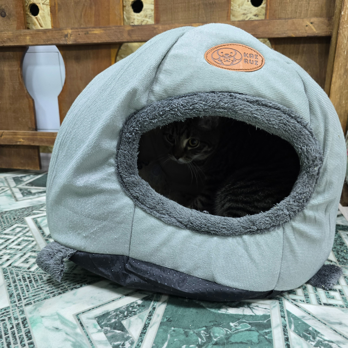 Оскар прячется в уютном домике-коконе