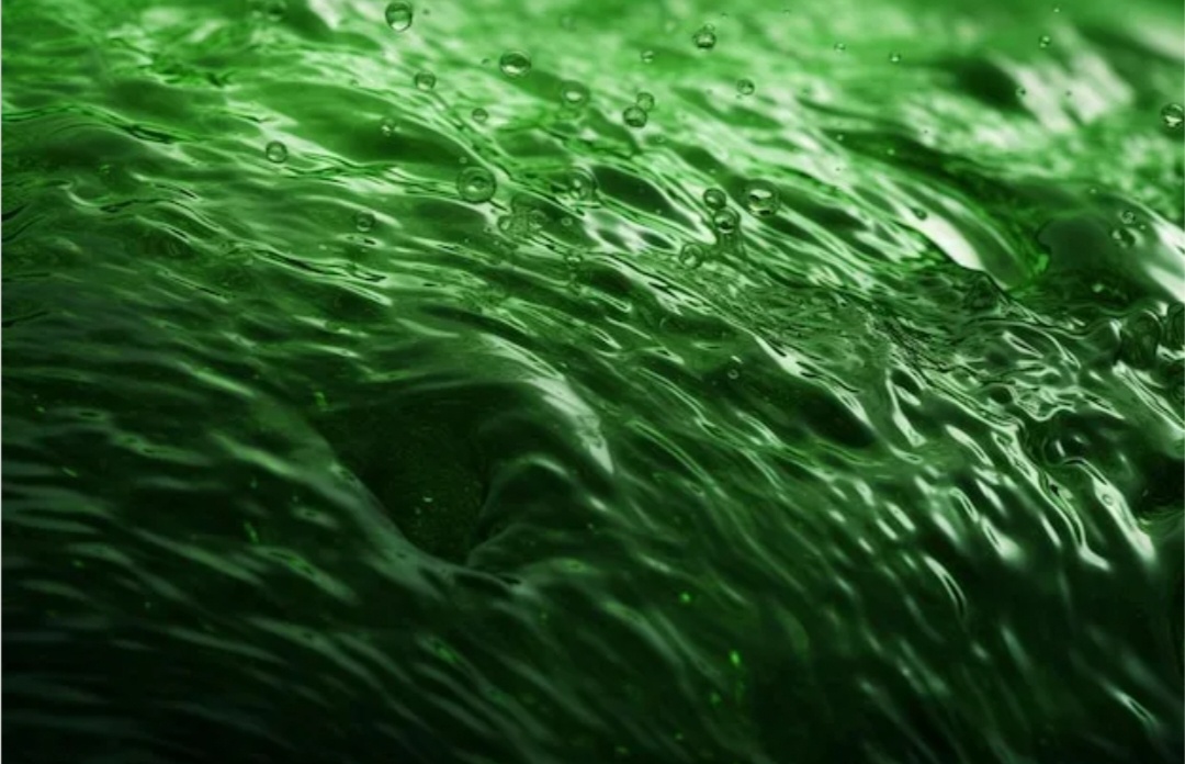 Изображение из Яндекс картинки 