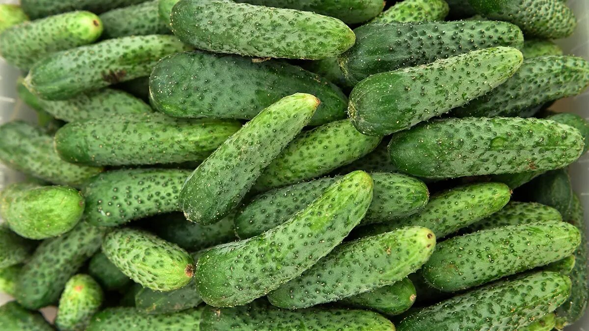    Фото: vm.ru Ульяна Лаптева