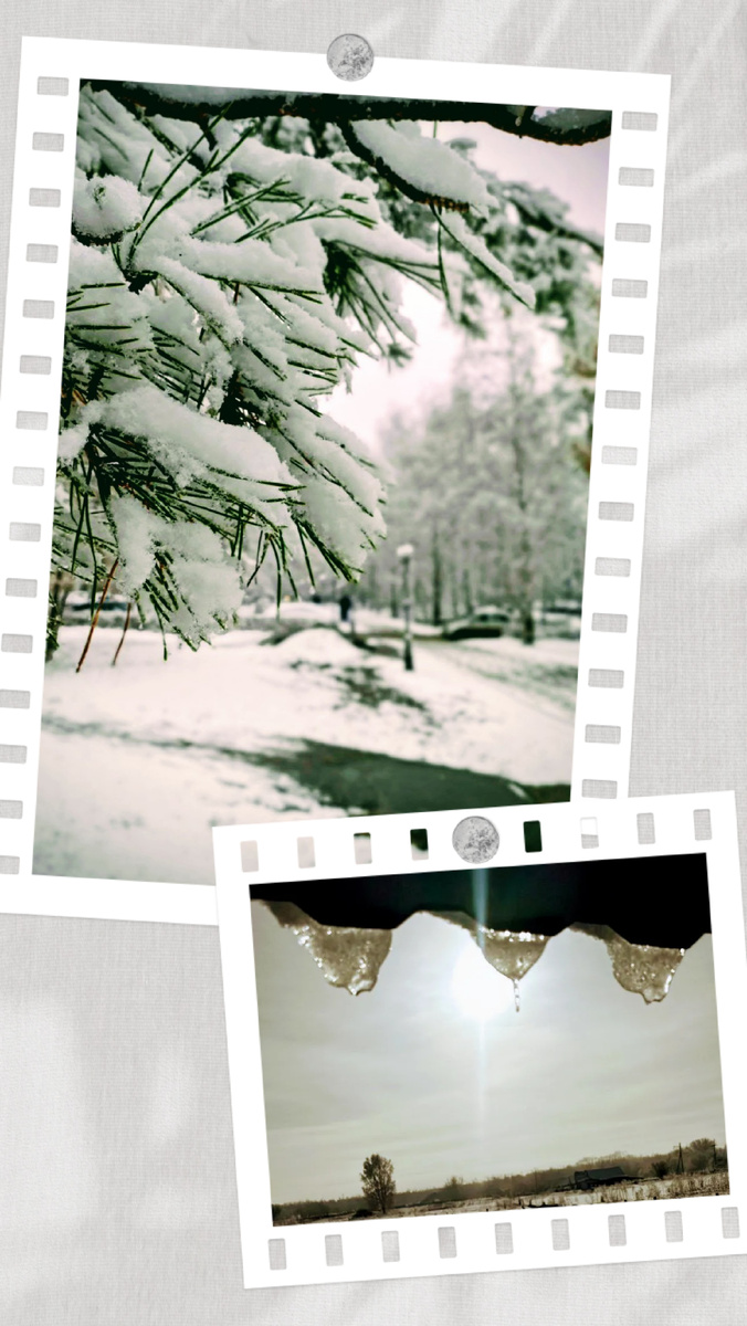 Автор иллюстрации Ерохина В.