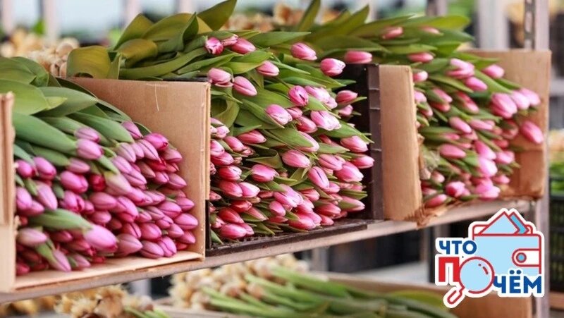      Фото: Sakh.online