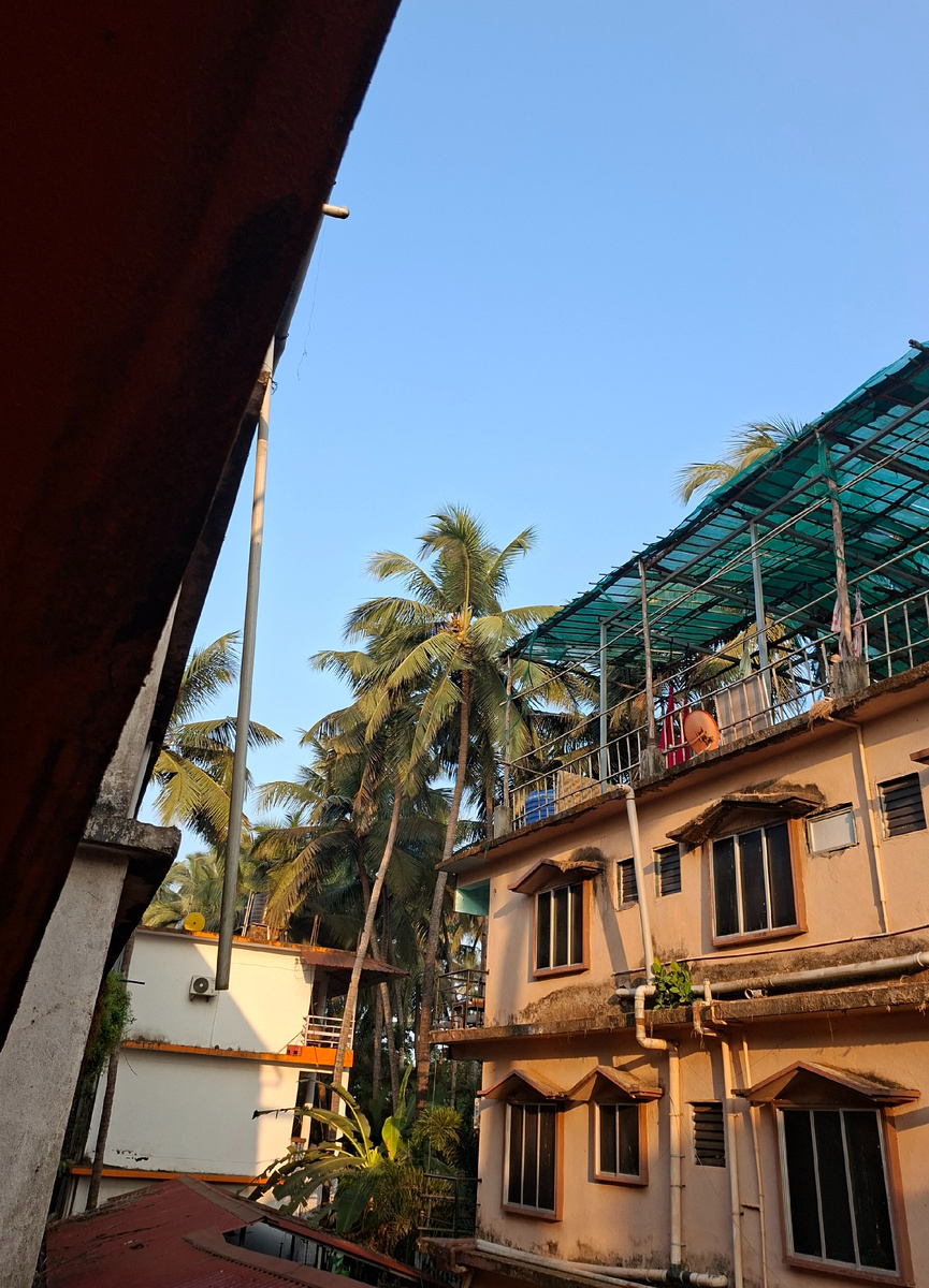 Утро в Арамболе 