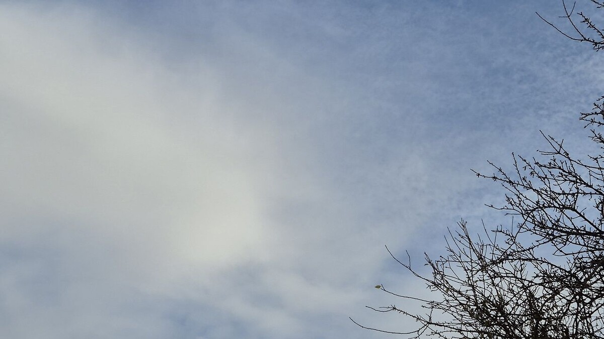    Фото: телеканал «Краснодар»