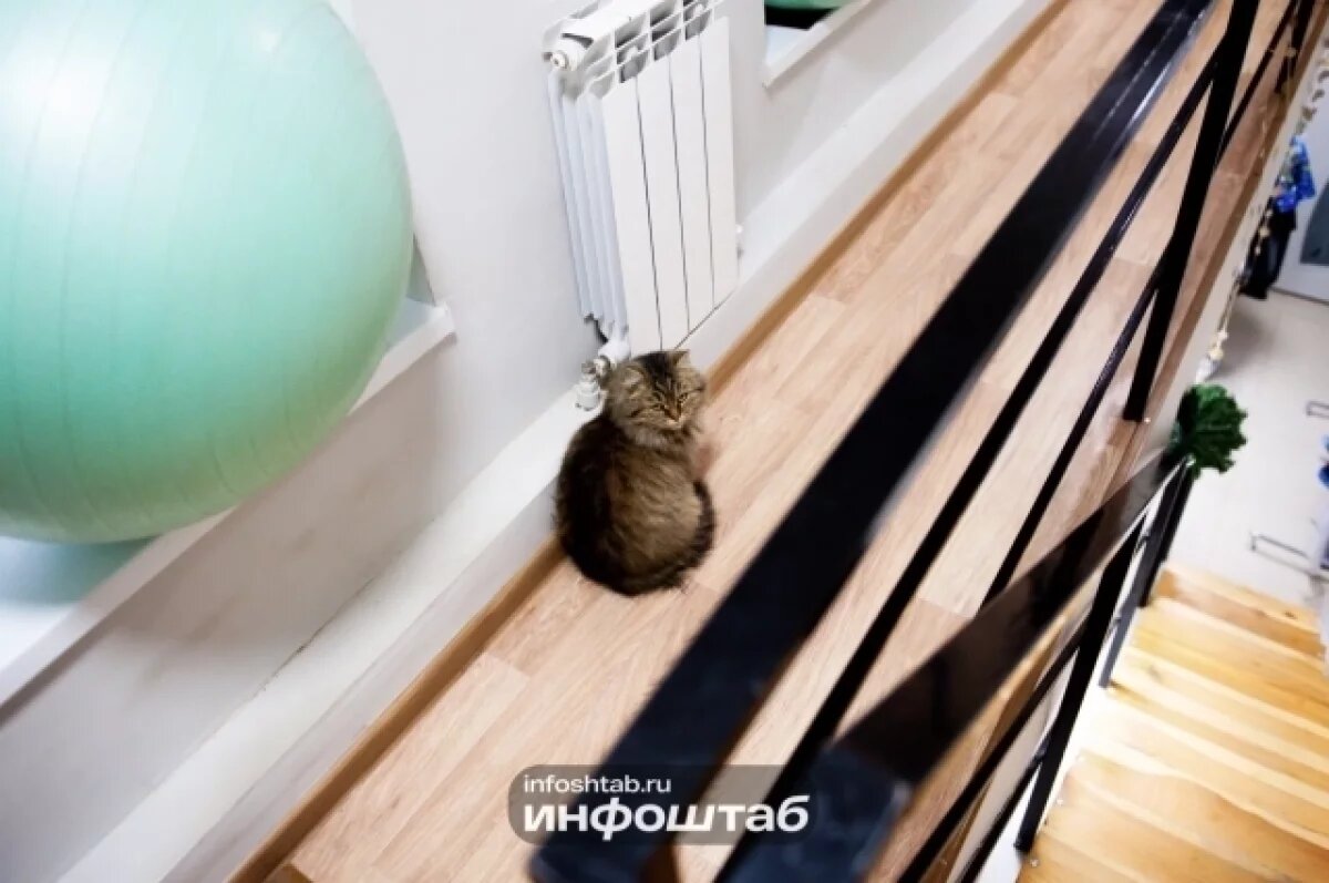    В Астраханской области ФАС добилась снижения тарифа на отопление