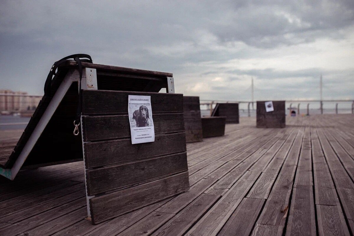 Кадр из фильма "Догги".