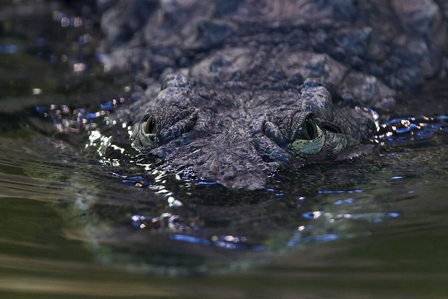     / Источник: © Егор Алеев/ТАСС