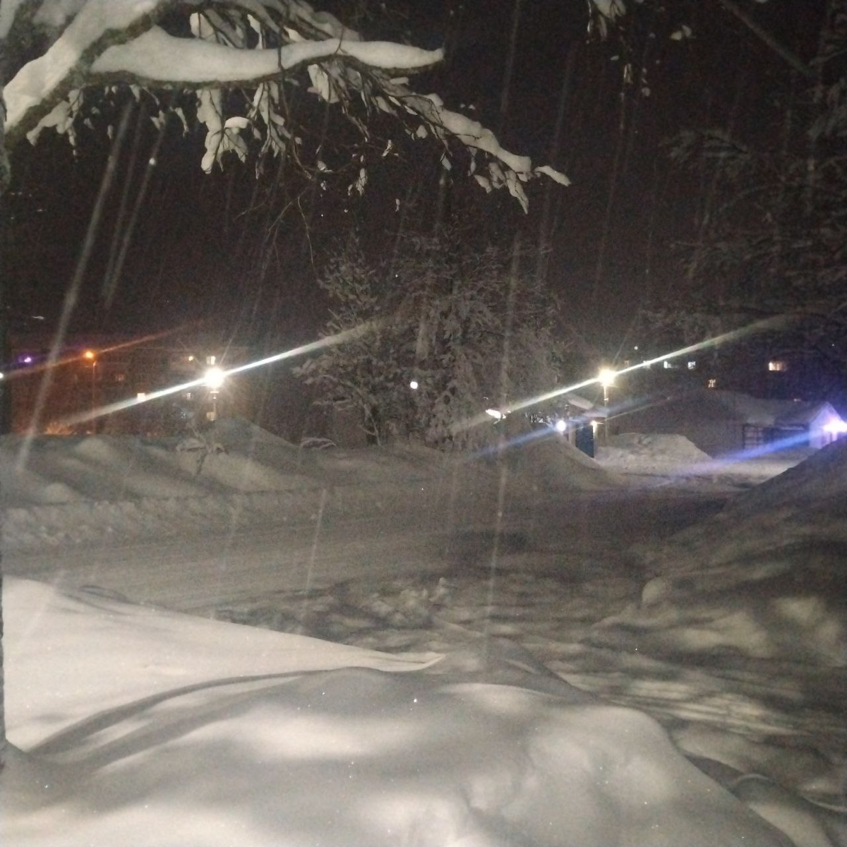 Вот такой у нас снегопад в. Фото автора