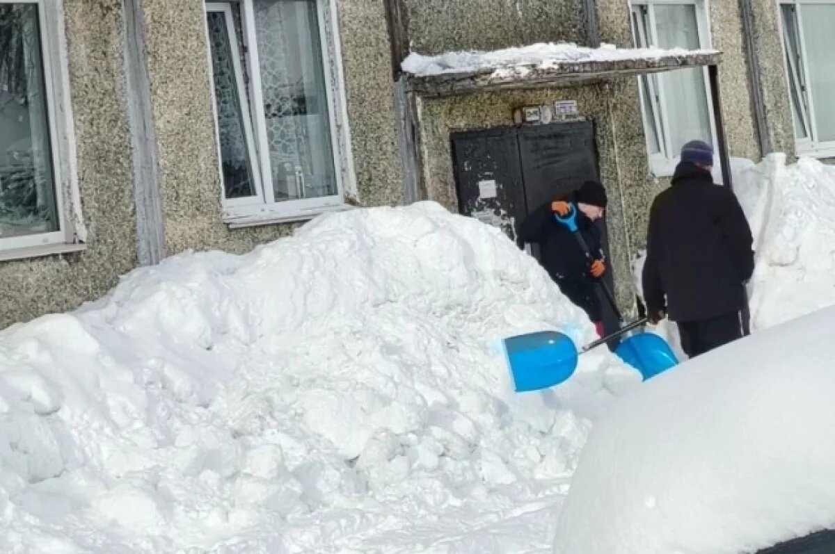    «Не тропинки для голубей делаем».