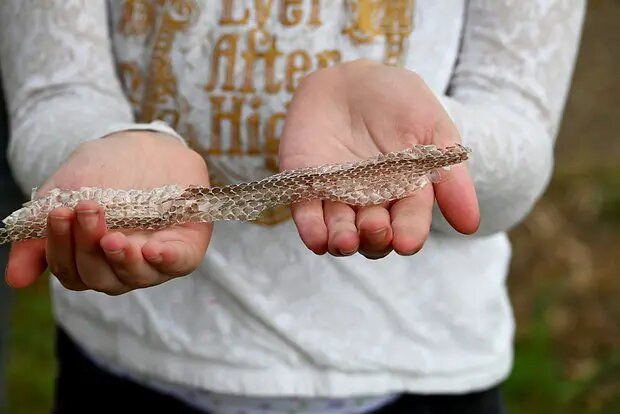    Фото: lenta.ru Ксения