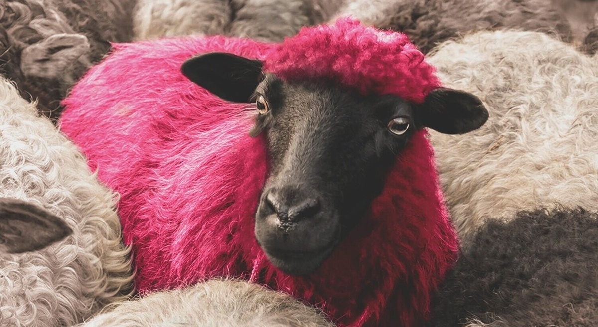 Кадр из фильма "Диджей Ахмет".