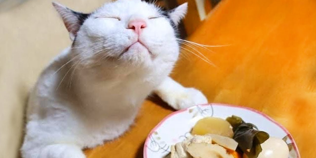 3 врага ваших суставов после 50: Какие продукты незаметно разрушают хрящи, даже если вы ведете здоровый образ жизни