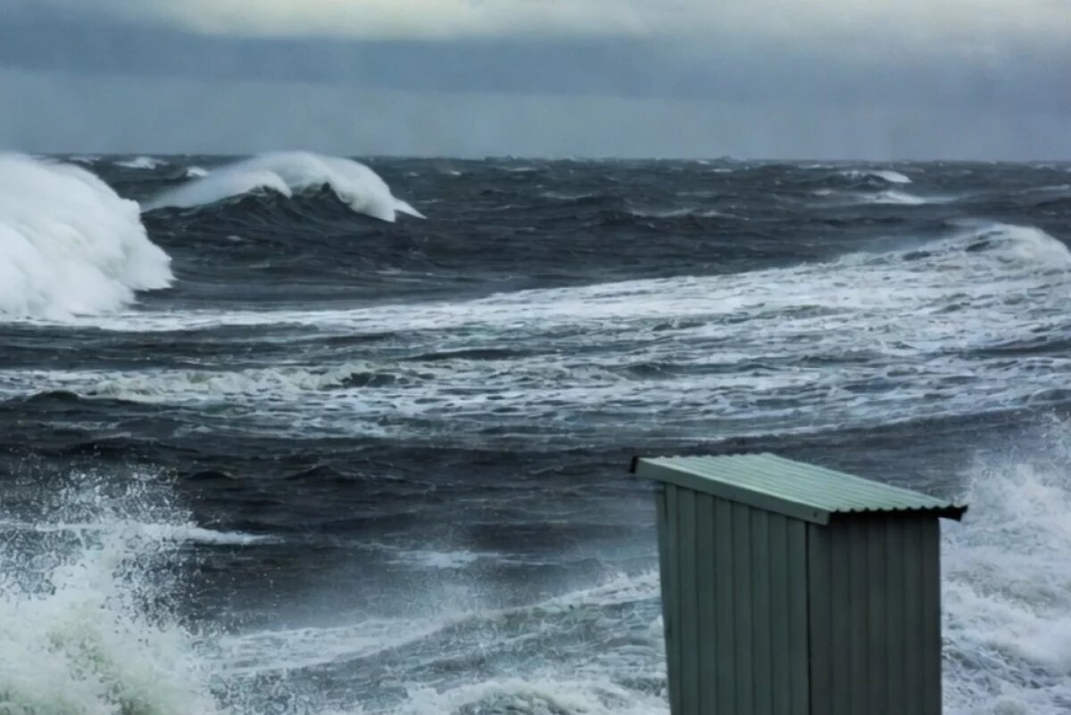    В Хабаровском крае завели дело на директора компании за туалеты возле моря