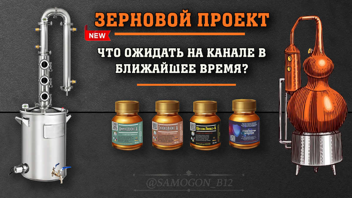 Зерновой проект, что ожидать на канале в ближайшее время? Коллаж автора ©