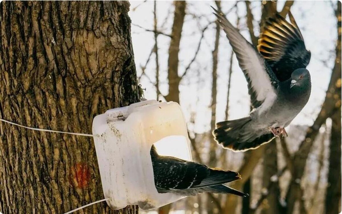    Главные новости Ижевска на утро 11 февраля: осудили за пьяную стрельбу и метание ножей