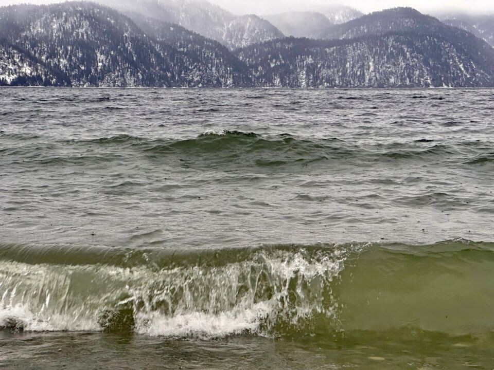    Февральский дождь на Телецком озере. Источник: Роман и Татьяна Воробьевы / Алтайский заповедник