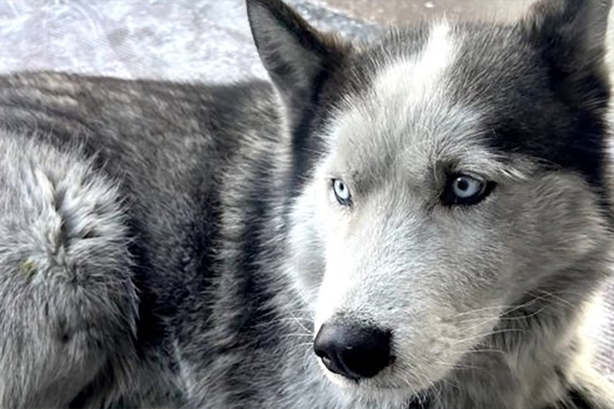    Фото: соцсети