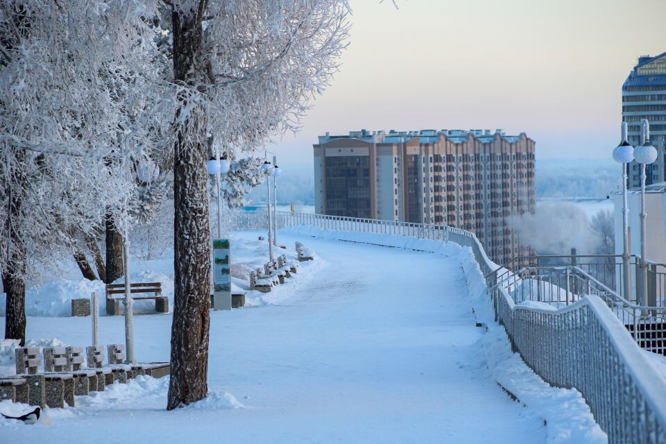    Барнаул. Зима. Источник: Виталий Барабаш / СИ «Толк»