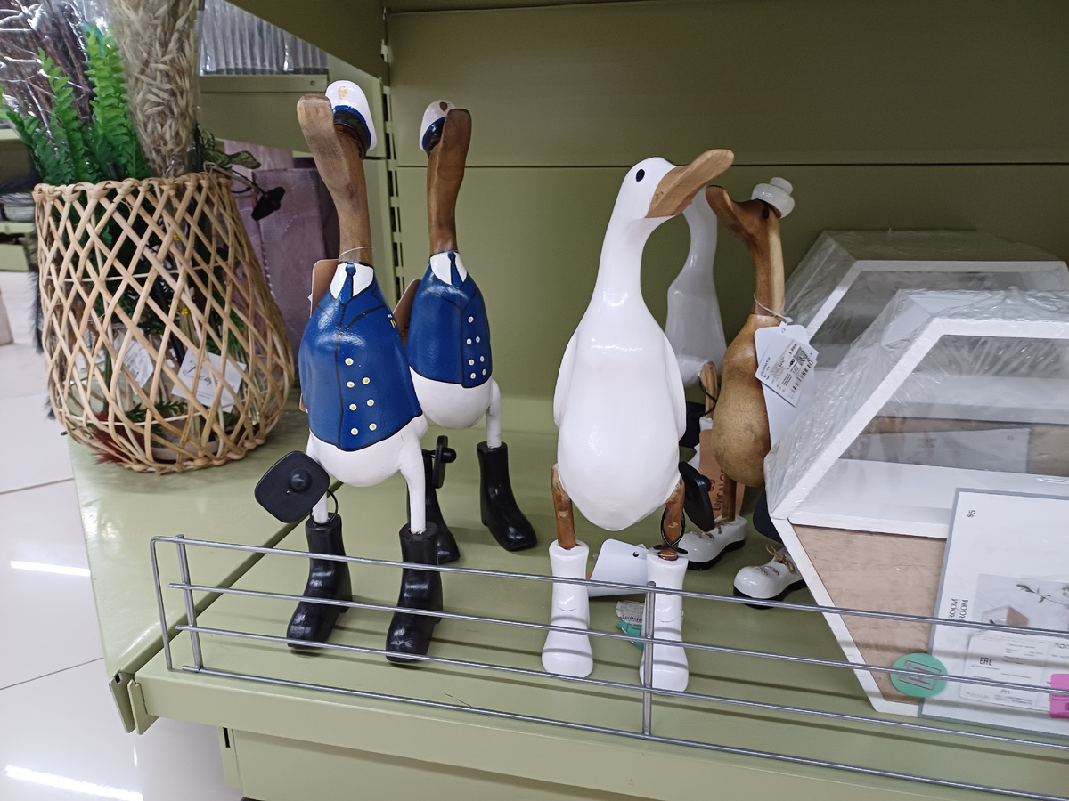 Эти замечательные эеземпляры стоях без одного рубля 2 000 руб. Фото автора Юлии Солоха