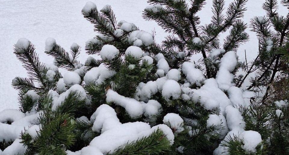    REGIONS/Катерина Антохина