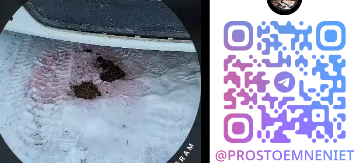 Доброе утро!!! Кстати в Телеграмме больше всего информации. 