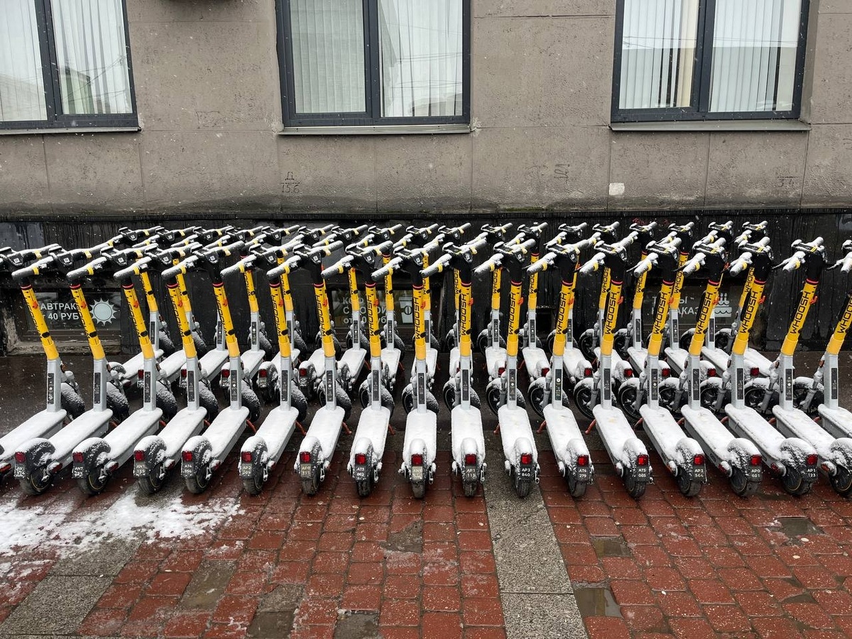 Фото: Neva.Today