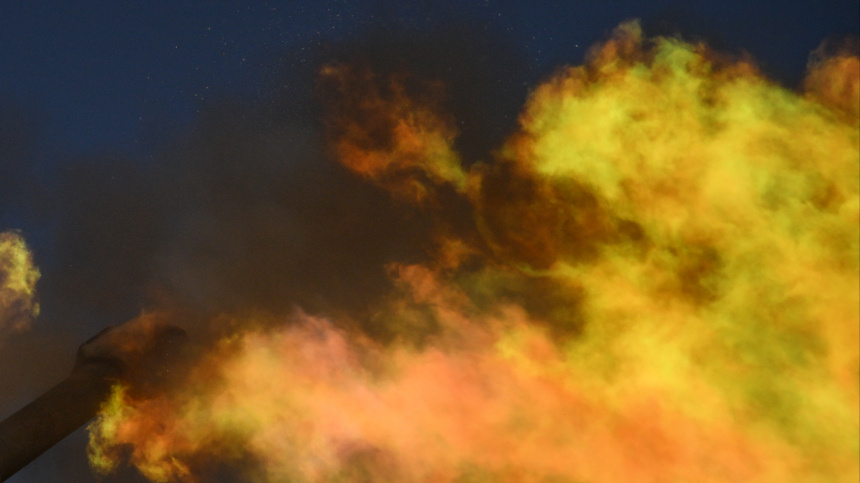    Фото: © РИА Новости/Евгений Биятов; Минобороны РФ; 5-tv.ru