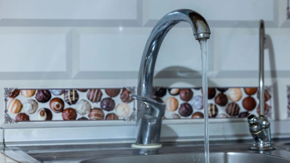    Фото: Федор Воронов / «Ямал-Медиа»