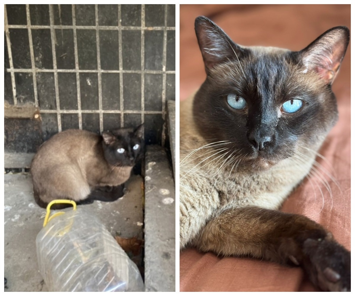 Визерис – выпускник приюта.