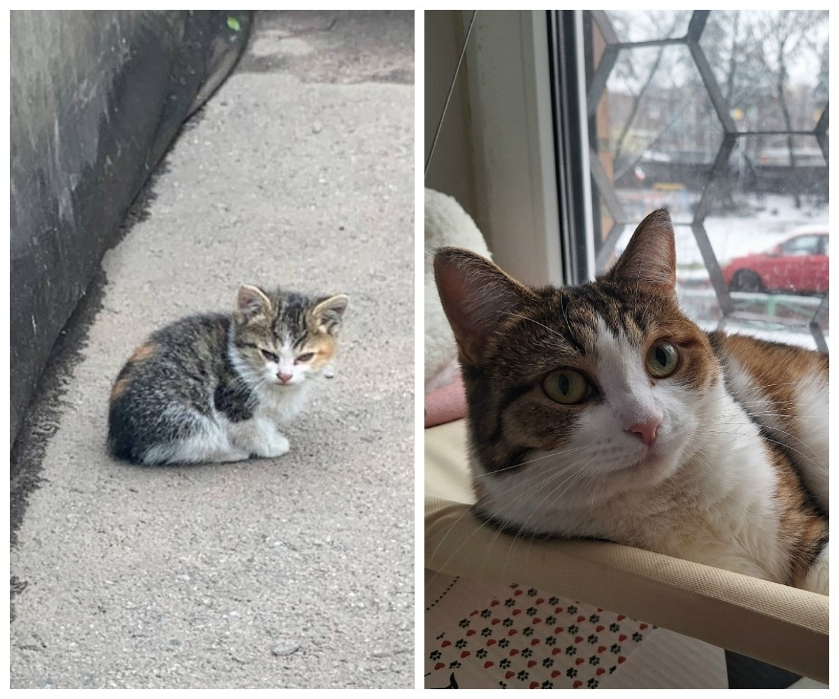 Сазани – выпускница приюта.