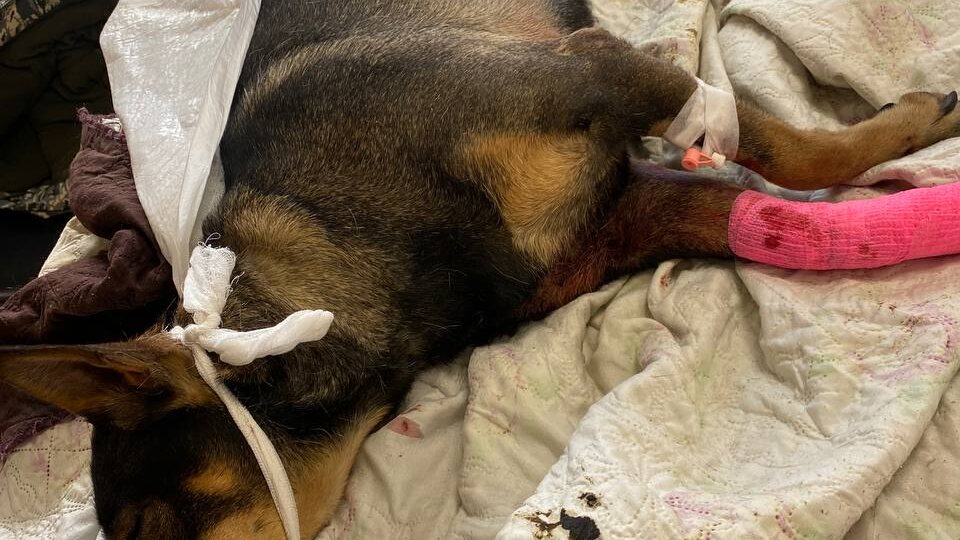 Совсем не доброе утро.