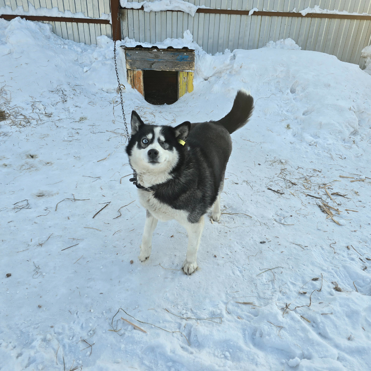 голубые глаза полны надежды зря