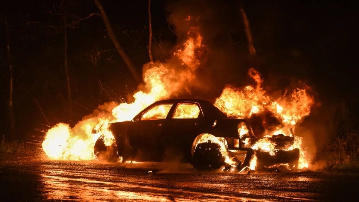    Фото: jck5055/Shutterstock/Fotodom