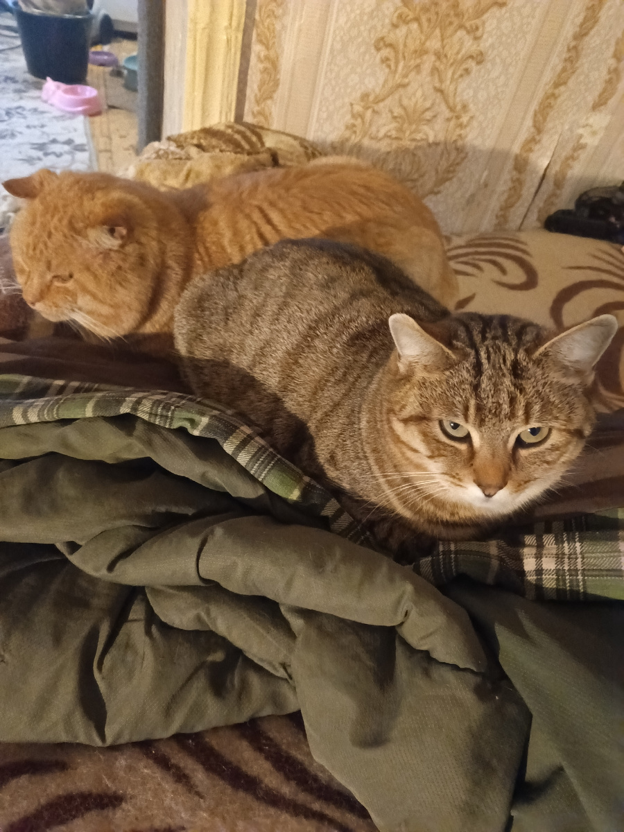 Жители глухого преглухого села Марфуша и Проня