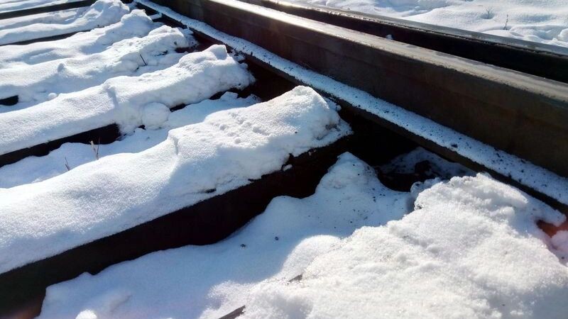    Фото: Victor Belinsky / Shutterstock/ Fotodom